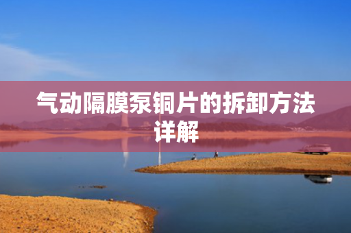 氣動隔膜泵銅片的拆卸方法詳解