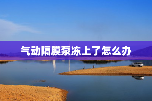 氣動隔膜泵凍上了怎么辦