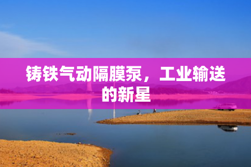 鑄鐵氣動(dòng)隔膜泵<div   id=