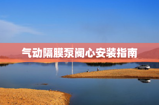 氣動(dòng)隔膜泵閥心安裝指南