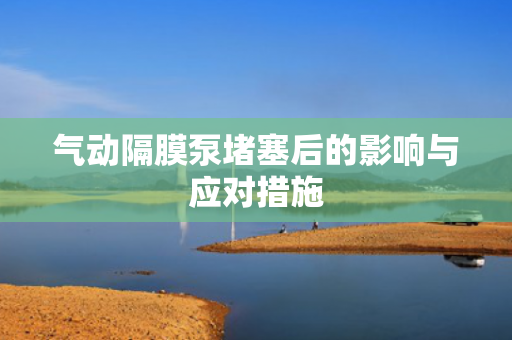 氣動(dòng)隔膜泵堵塞后的影響與應(yīng)對(duì)措施