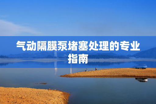 氣動(dòng)隔膜泵堵塞處理的專業(yè)指南