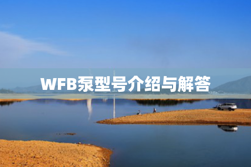 WFB泵型號介紹與解答
