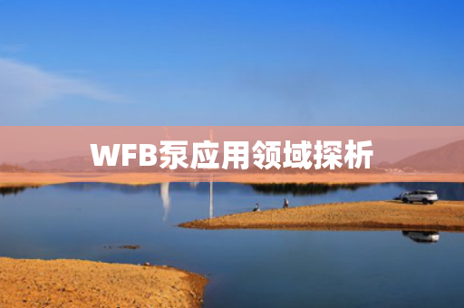 WFB泵應用領域探析