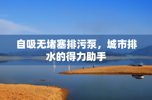 自吸無堵塞排污泵<div   id=