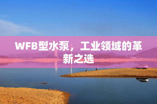 WFB型水泵<div   id=