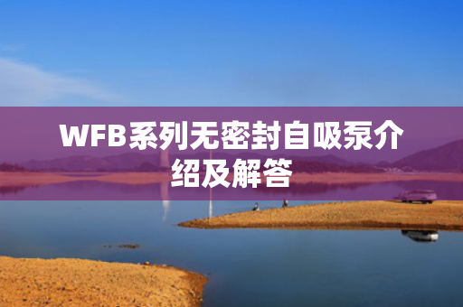 WFB系列無密封自吸泵介紹及解答