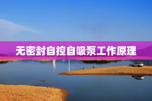 無密封自控自吸泵工作原理