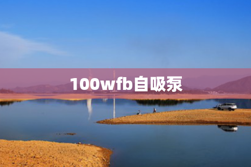 100wfb自吸泵