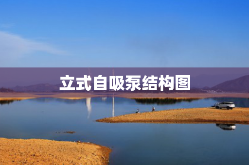 立式自吸泵結構圖