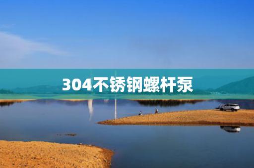 304不銹鋼螺桿泵