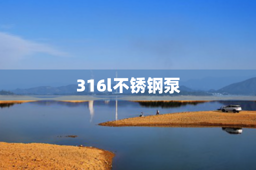 316l不銹鋼泵