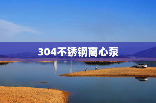 304不銹鋼離心泵