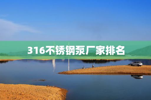 316不銹鋼泵廠家排名