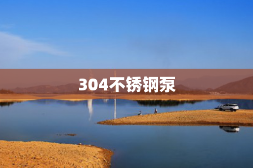 304不銹鋼泵