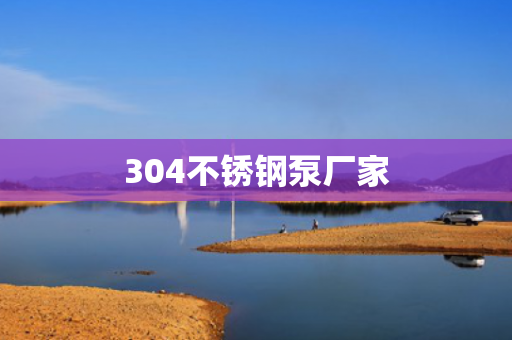 304不銹鋼泵廠家