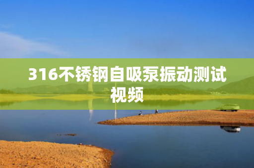 316不銹鋼自吸泵振動測試視頻