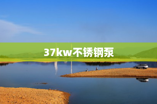 37kw不銹鋼泵