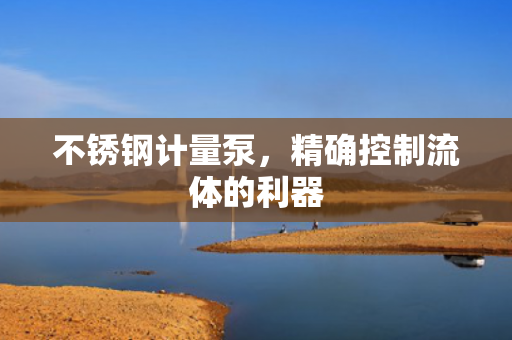 不銹鋼計量泵，精確控制流體的利器