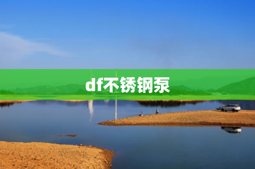 df不銹鋼泵