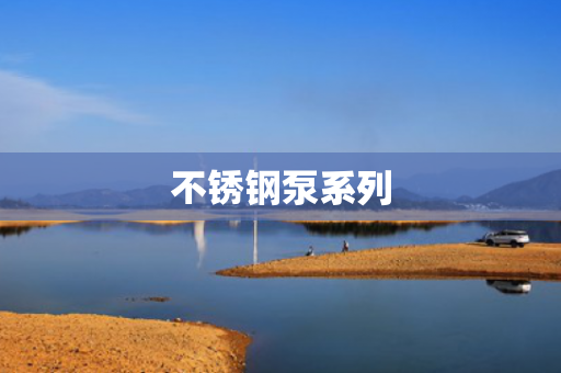 不銹鋼泵系列