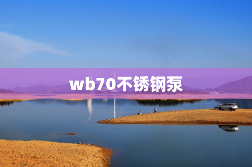 wb70不銹鋼泵