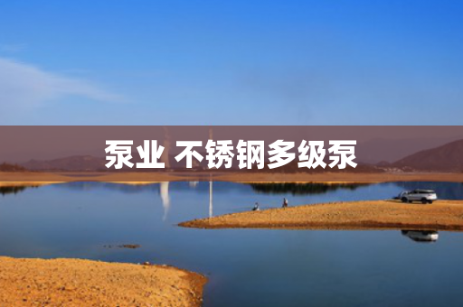 泵業(yè) 不銹鋼多級(jí)泵