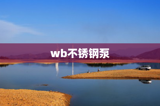 wb不銹鋼泵