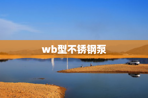 wb型不銹鋼泵