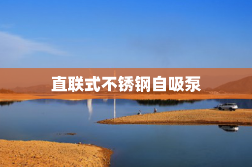 直聯(lián)式不銹鋼自吸泵