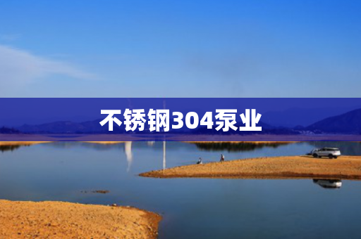 不銹鋼304泵業(yè)