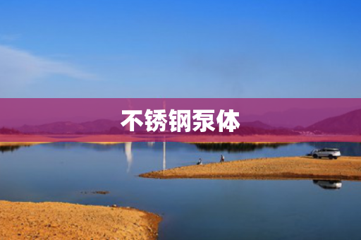 不銹鋼泵體