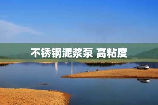 不銹鋼泥漿泵 高粘度