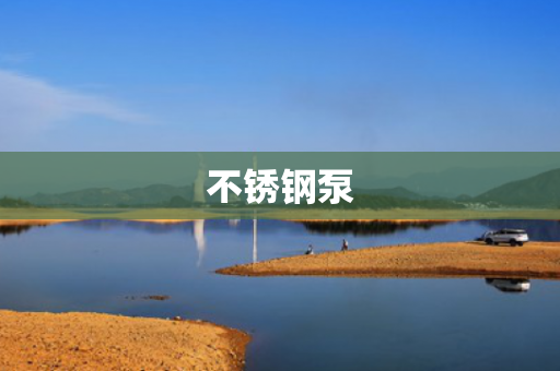 不銹鋼泵