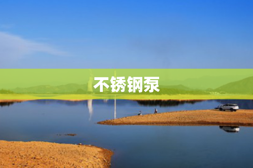 不銹鋼泵
