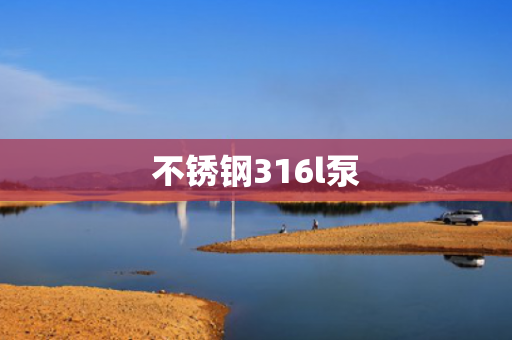 不銹鋼316l泵