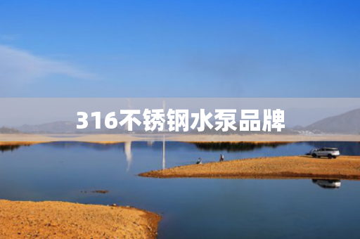 316不銹鋼水泵品牌