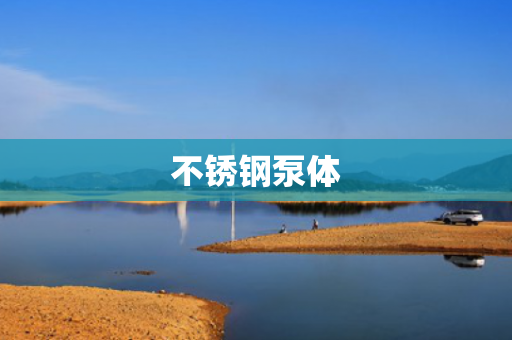 不銹鋼泵體