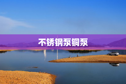 不銹鋼泵銅泵