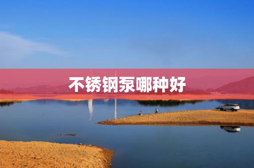 不銹鋼泵哪種好