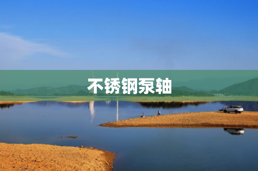 不銹鋼泵軸