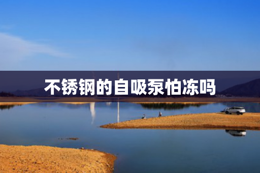 不銹鋼的自吸泵怕凍嗎