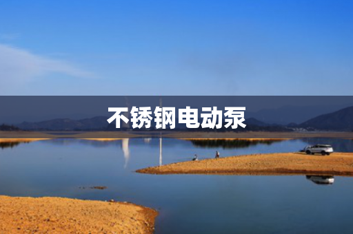 不銹鋼電動(dòng)泵