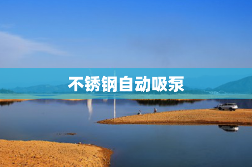 不銹鋼自動(dòng)吸泵
