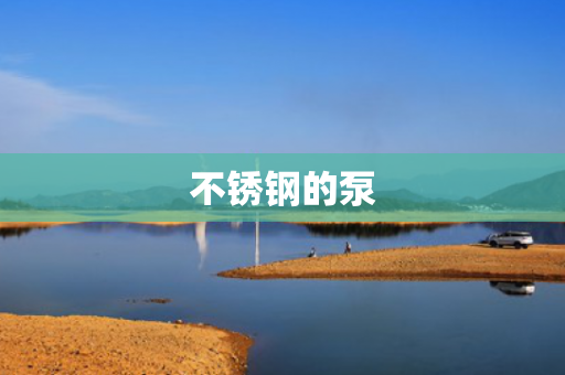 不銹鋼的泵